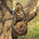 Genuine leather women's simple, top-grain cowhide bag, 2025 new, high-end, fashionable mother's bag, shoulder bag, and crossbody mini size. Genuine leather women's simple, top-grain cowhide bag, 2025 new, high-end, fashionable mother's bag, shoulder bag, and crossbody mini size.