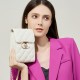 2025 new style genuine leather bags, mini cell phone bags, summer commuter crossbody bags, luxurious and trendy chain bags 2025 new style genuine leather bags, mini cell phone bags, summer commuter crossbody bags, luxurious and trendy chain bags